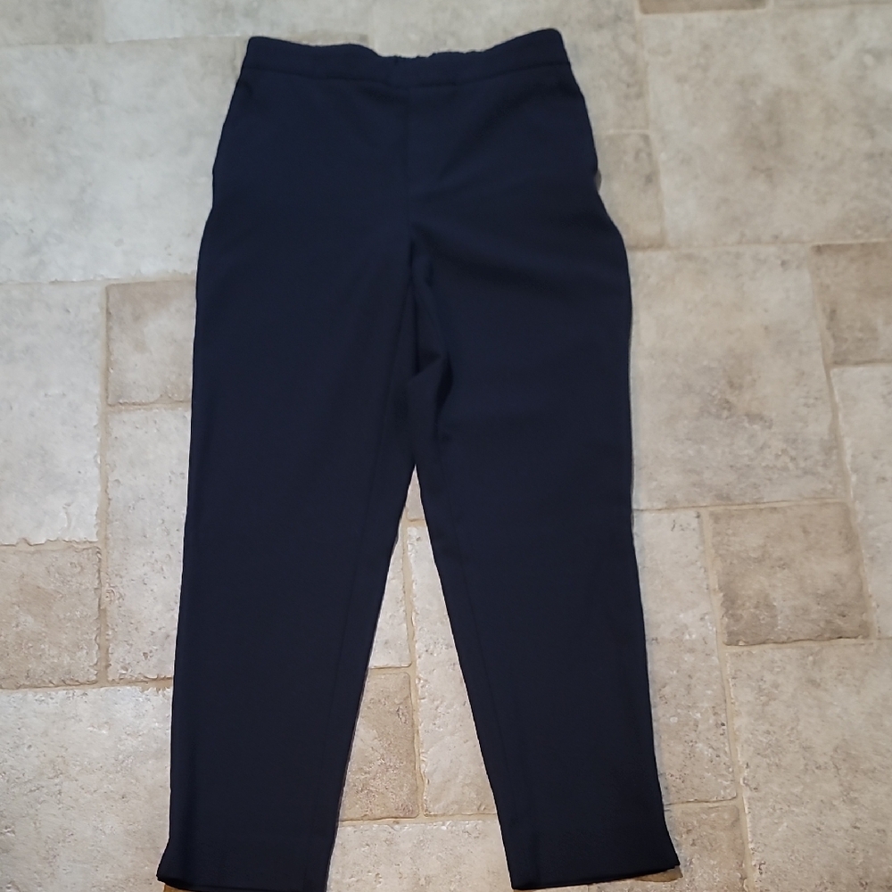 Banana Republic Hayden Pant In Navy Blue